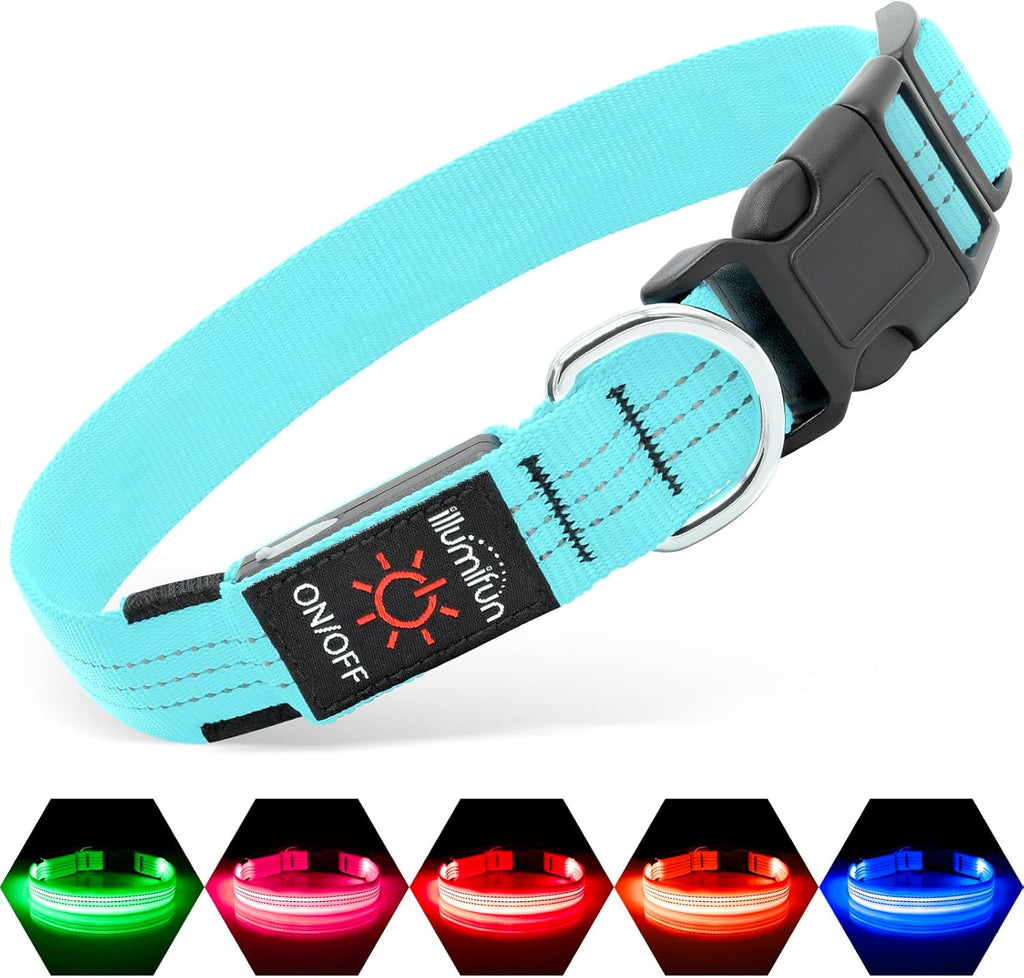 LED Dog Collar - USB Rechargeable Dog Light up Collar, Reflective Pet Collar Light Glow in the Dark (Blueⅲ, Medium)