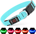 LED Dog Collar - USB Rechargeable Dog Light up Collar, Reflective Pet Collar Light Glow in the Dark (Blueⅲ, Medium)