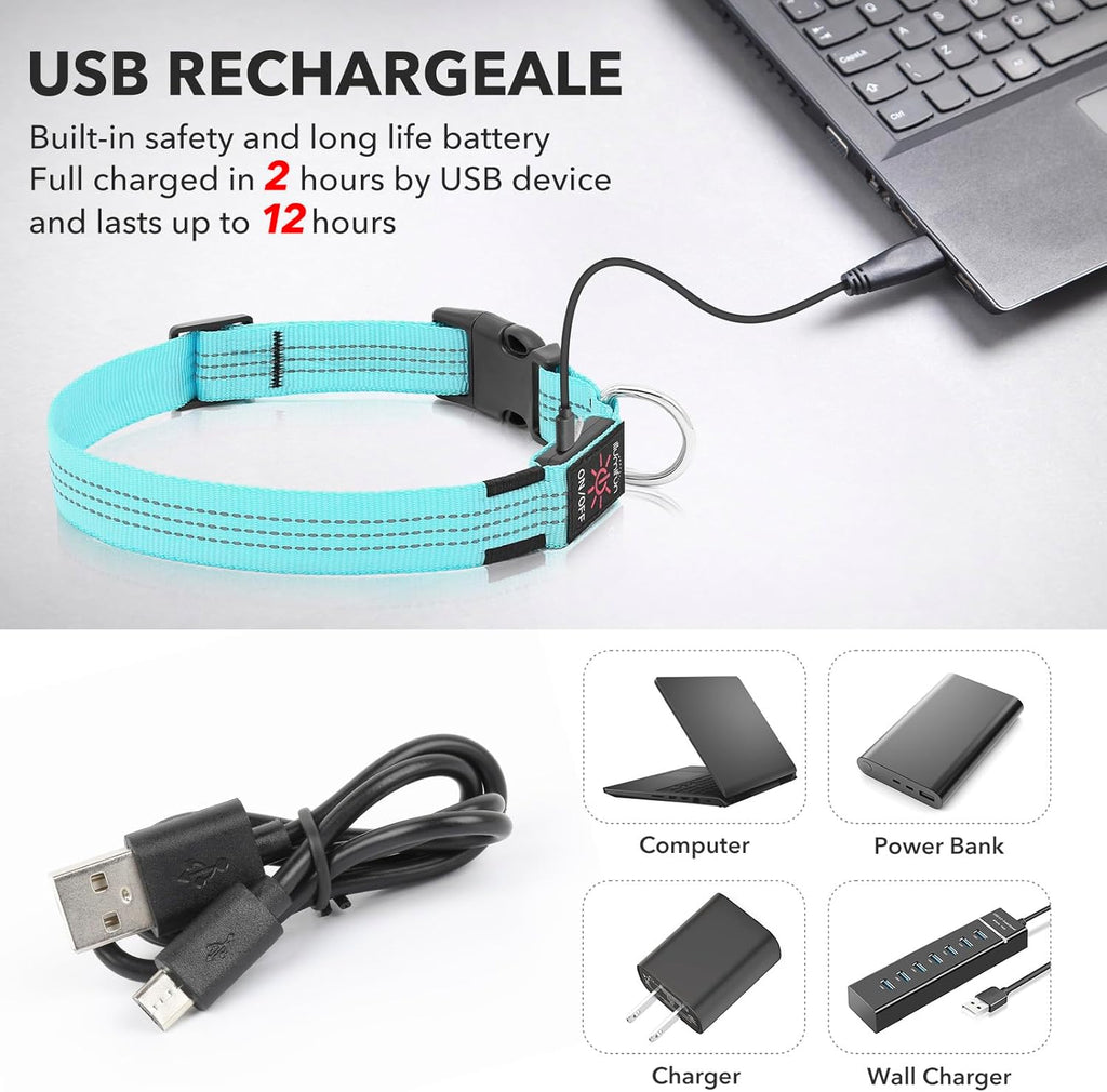LED Dog Collar - USB Rechargeable Dog Light up Collar, Reflective Pet Collar Light Glow in the Dark (Blueⅲ, Medium)