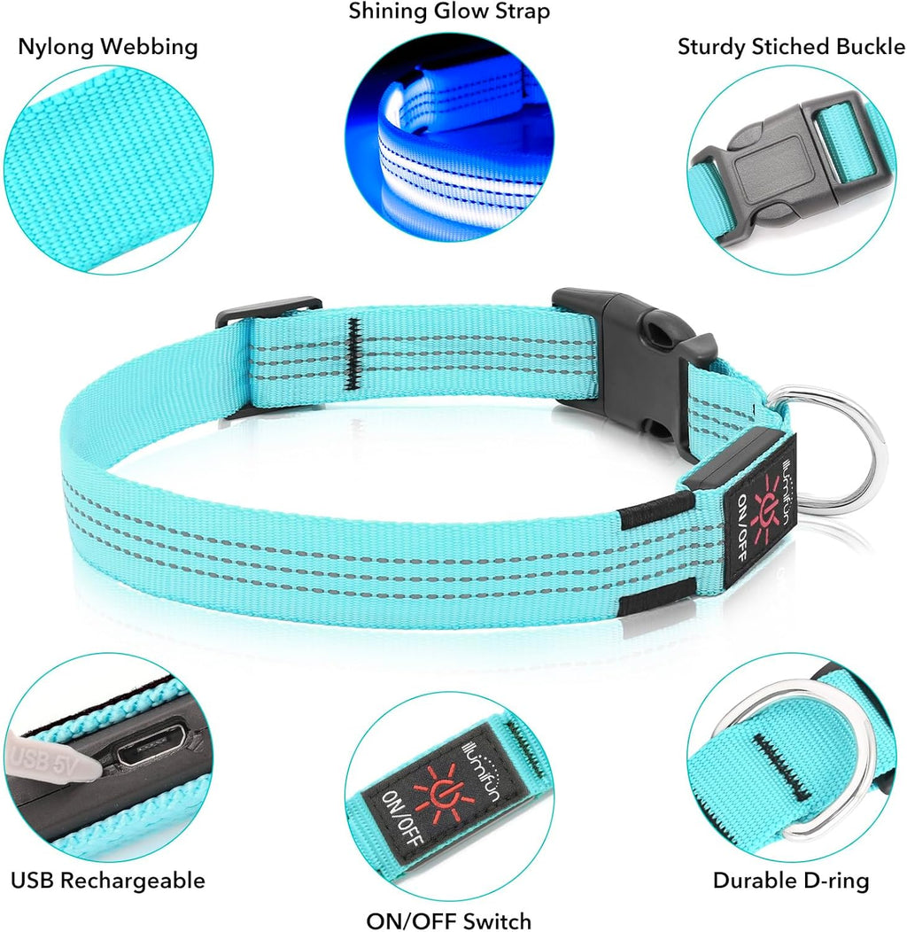 LED Dog Collar - USB Rechargeable Dog Light up Collar, Reflective Pet Collar Light Glow in the Dark (Blueⅲ, Medium)